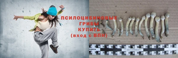 экстази Кукмор