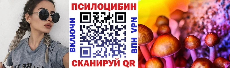 Галлюциногенные грибы мухоморы  Купить закладки  Барыш 